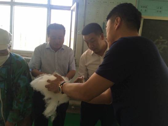 協(xié)會領導一行走訪企業(yè)開展調(diào)研活動